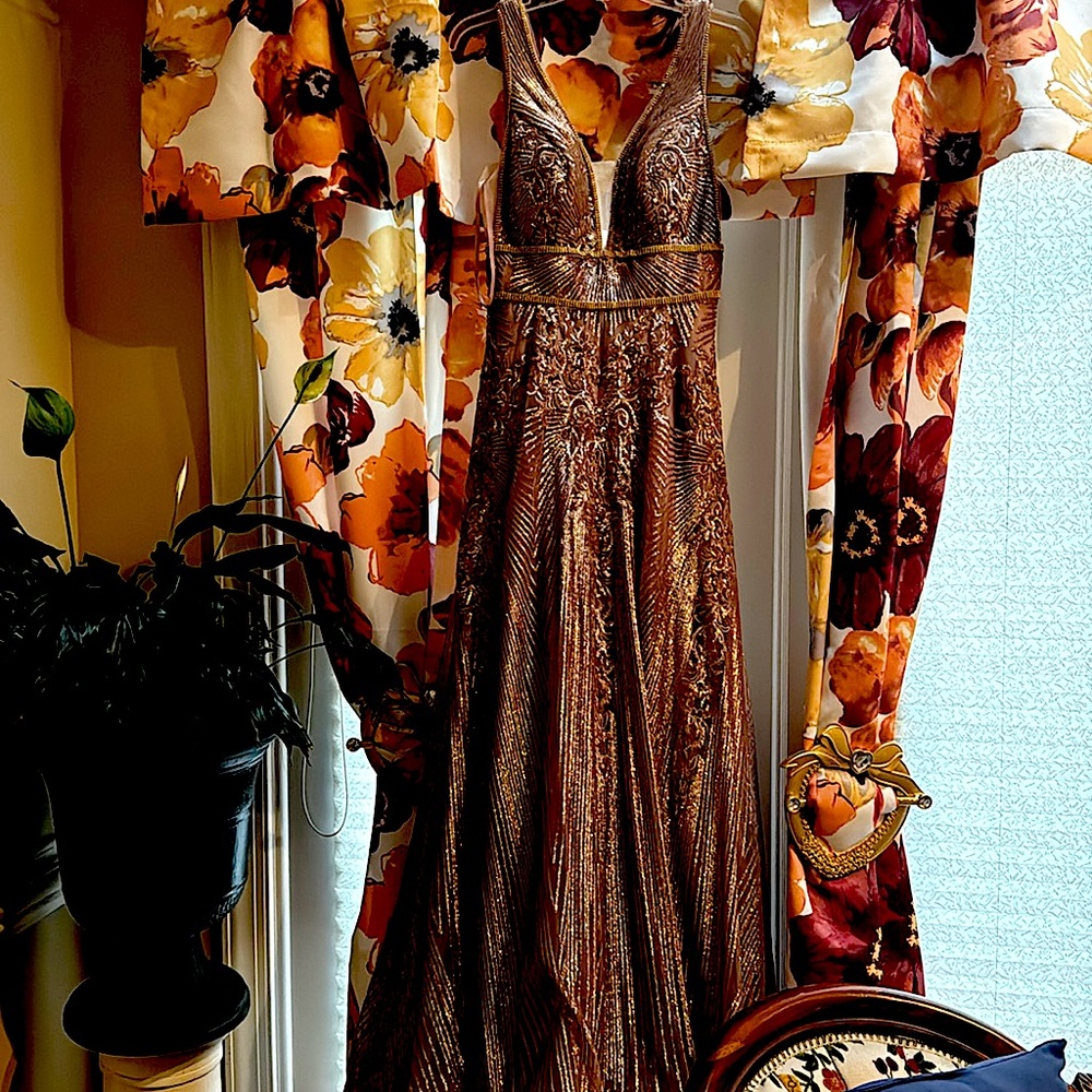 Never worn Rose gold dress with tags
Comes with scarf